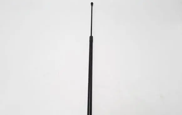 Renault Kangoo II Tailgate strut 8200497806