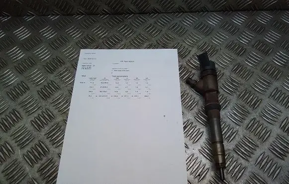 Fiat Ducato Fuel injector 0445110418 504389548
