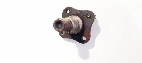 Renault Clio II Stub axle 