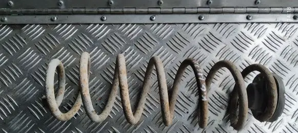 Volkswagen Golf IV Rear coil spring