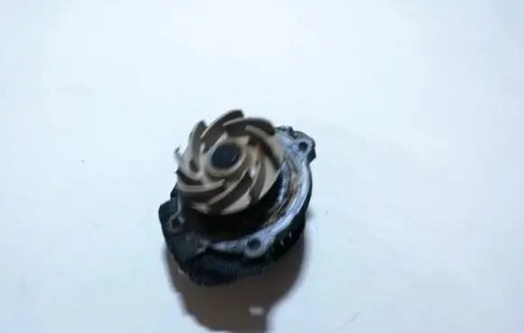 Fiat Punto (188) Water pump