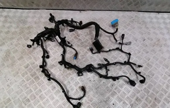 Citroen C3 Aircross Engine installation wiring loom 4533389