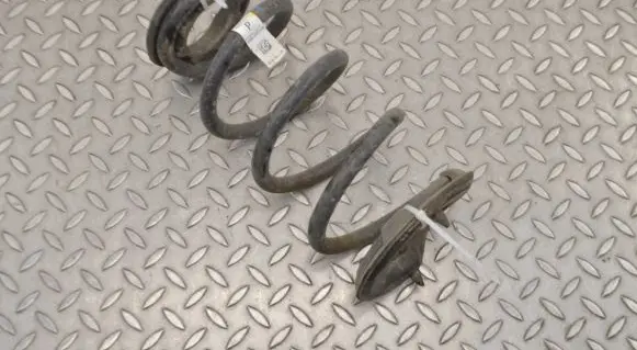 Tesla Model 3 Rear coil spring 104447204A