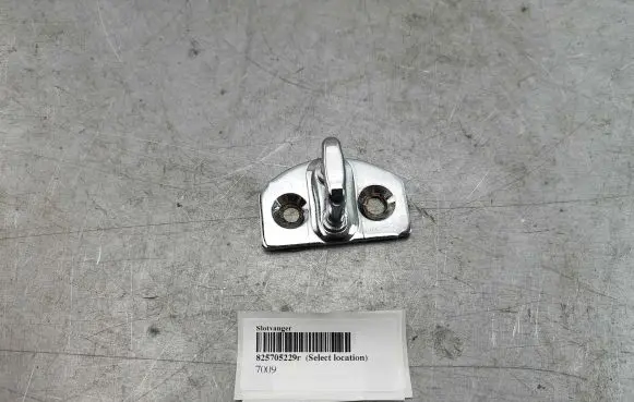 Renault Zoe Front door lock loop/hook striker 825705229r