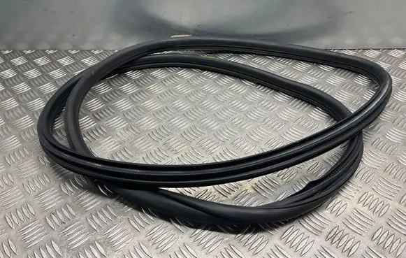 BMW 3 F30 F35 F31 Front door rubber seal 7258312