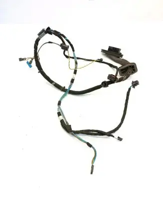 BMW 3 E46 Front door wiring loom 6913074