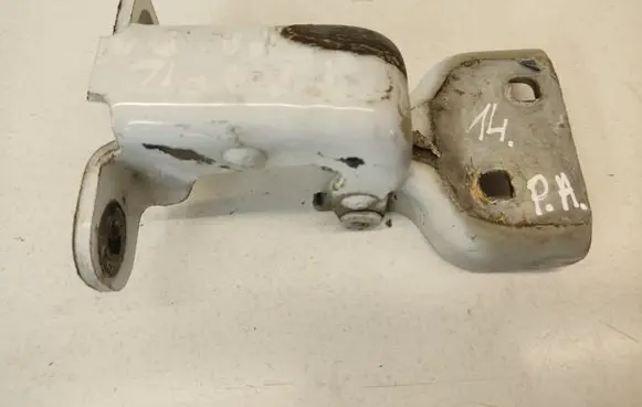 Renault Trafic II (X83) Front door lower hinge 311772G GM66380