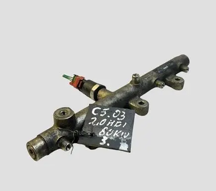 Citroen C5 Fuel main line pipe 0445214019