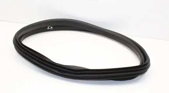 Renault Arkana Rubber seal rear door 