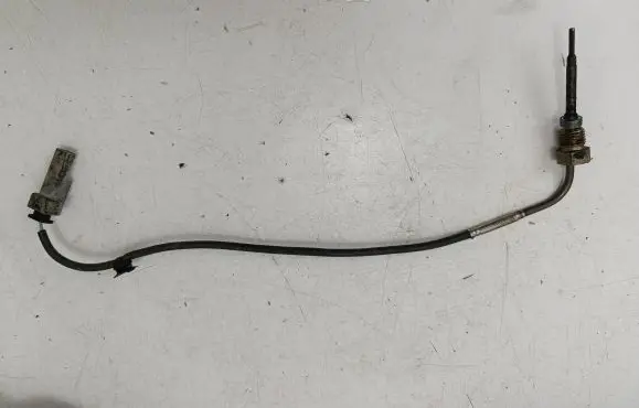 Exhaust gas temperature sensor
