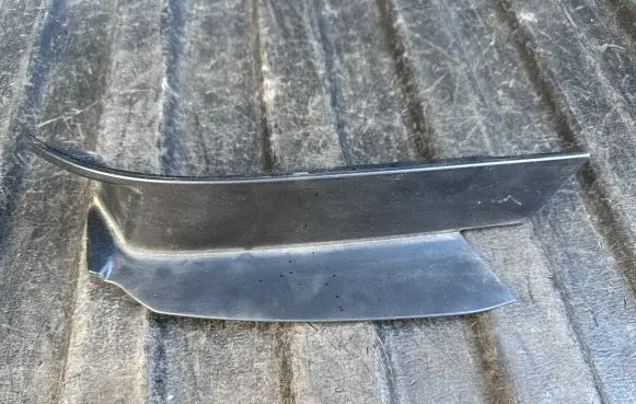 Rear/tail light trim molding