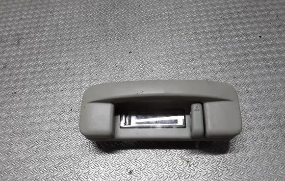 Chrysler 300 - 300C Rear interior roof grab handle 829880