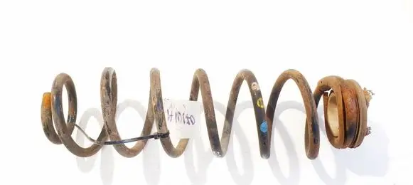 Rear coil spring