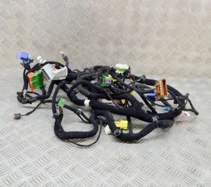 Maserati Quattroporte Other wiring loom 670007393