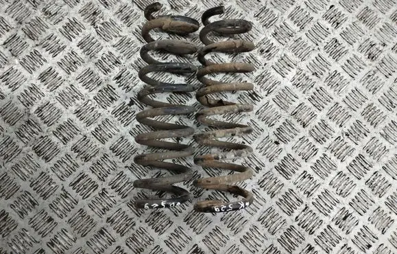 KIA Sportage Rear coil spring