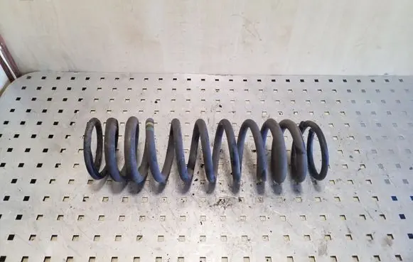 Ford Focus Rear coil spring