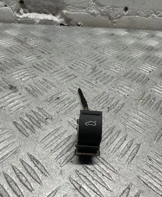 Volkswagen PASSAT B7 Tailgate opening switch 3AA959831 247202S
