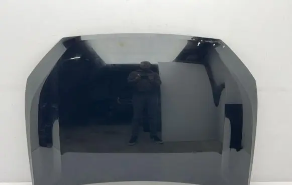 Engine bonnet/hood