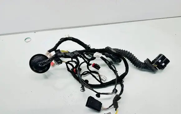 Front door wiring loom