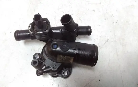 Thermostat/thermostat housing
