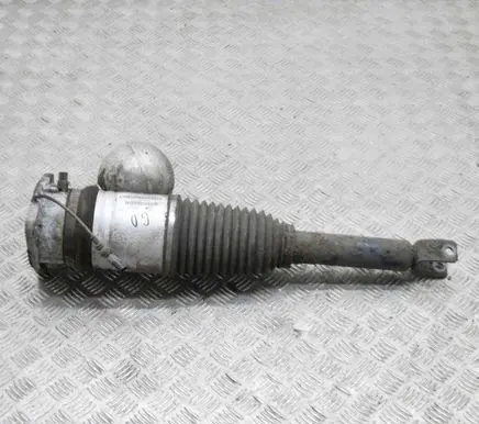Volkswagen Phaeton Rear shock absorber/damper 3D0616002J