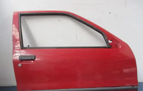 Renault 19 Front door