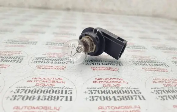 Volkswagen PASSAT B6 Rear tail light bulb 1K6945259