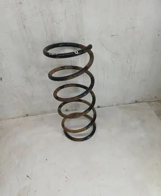 Front coil spring