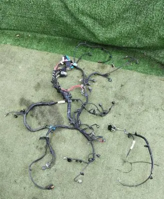 Engine installation wiring loom