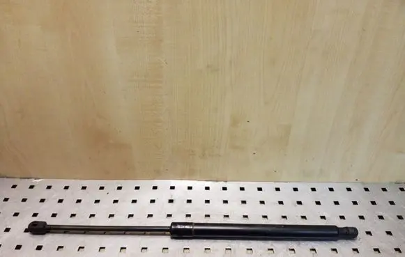 Tailgate/trunk strut/damper