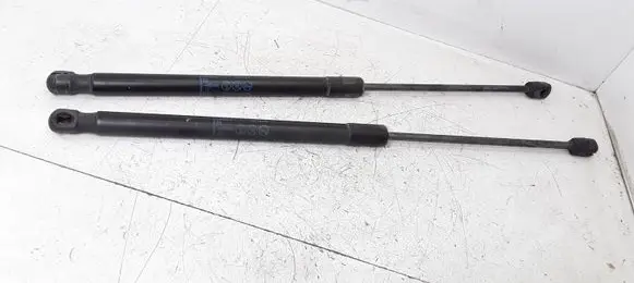 Opel Insignia A Tailgate/trunk strut/damper 13332570