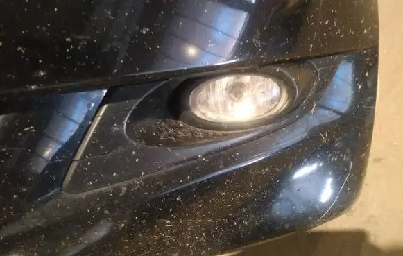 Front bumper lower grill