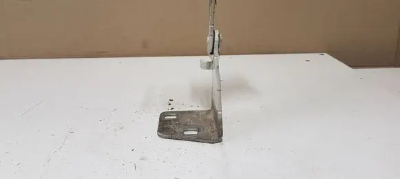 Opel Vivaro Engine bonnet/hood hinges 312083 65677