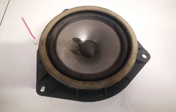 Front door speaker