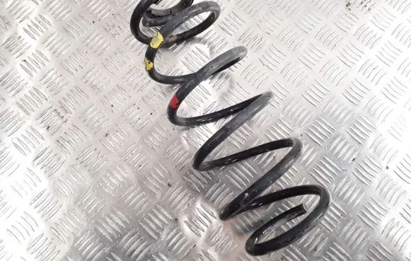 Peugeot 407 Front coil spring
