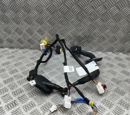 Hyundai IONIQ 6 Front door wiring loom 91611KL410