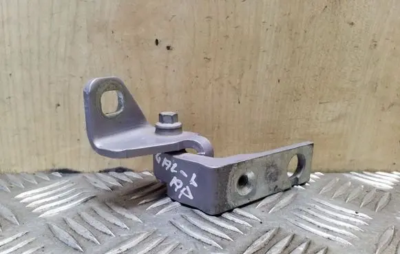 Ford Focus Rear door lower hinge