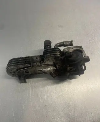 Volkswagen Golf V EGR valve cooler 038131513AD