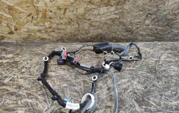 Rear door wiring loom