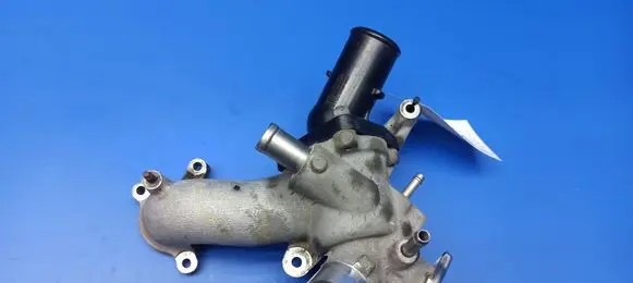 Thermostat/thermostat housing