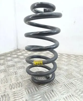 Opel Mokka X Rear coil spring 95174968