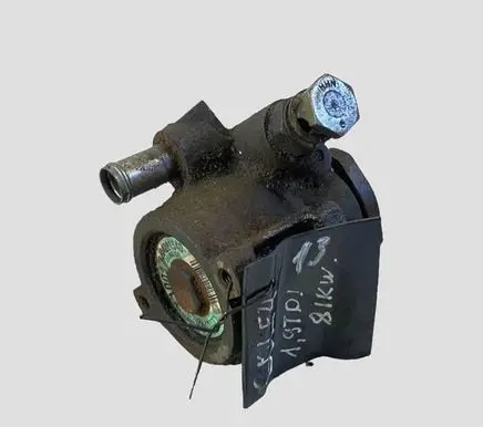 Volkswagen Golf IV Power steering pump 104221540