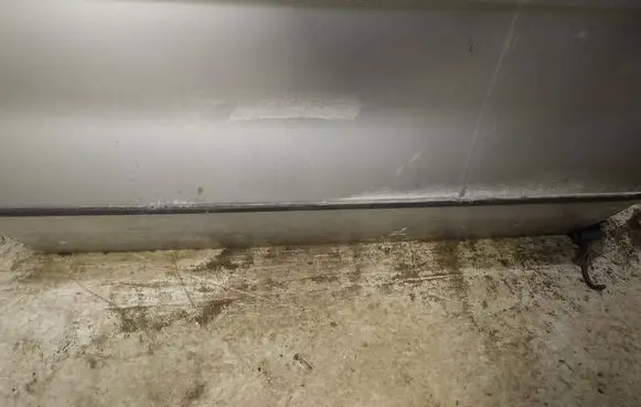 BMW X5 E53 Front door trim (molding) 