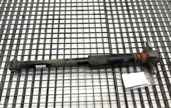 Hyundai Kona I Rear shock absorber/damper 55300J9300