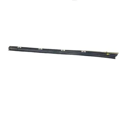 Dodge Charger Rubber seal rear door window/glass 