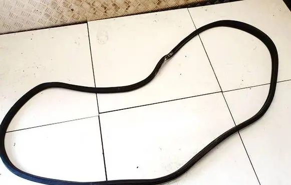 Citroen C4 I Picasso Rubber seal rear door