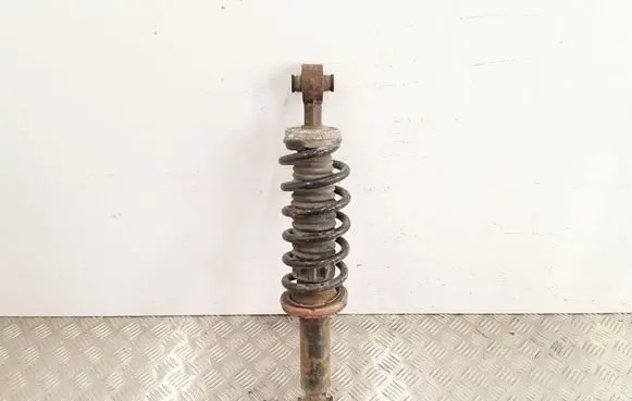 Peugeot 407 Rear shock absorber with coil spring 8768