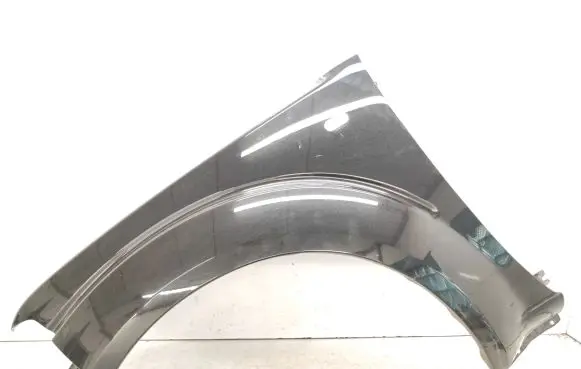 Nissan Pathfinder R51 Fender