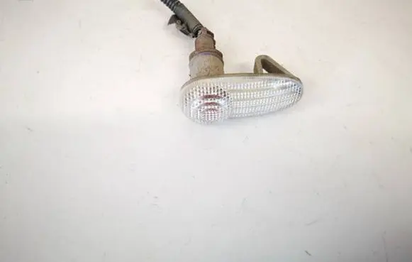 Front fender indicator light