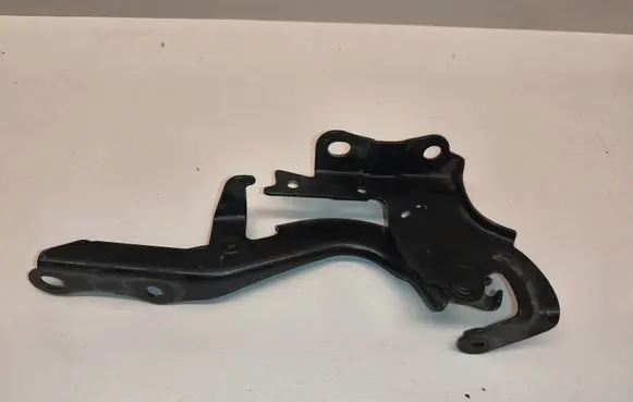 Lexus RX 450H Engine bonnet/hood hinges 534100E180